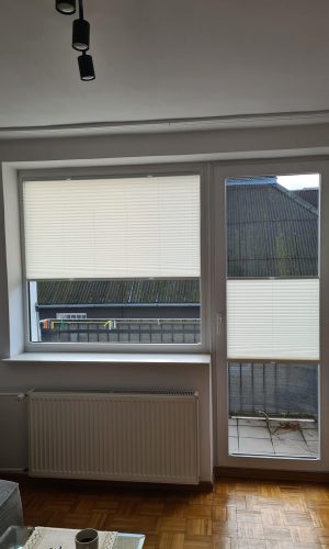 plisy Gdańsk Wrzeszcz