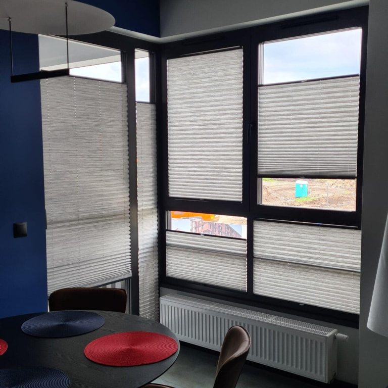 plisy-gdańsk-morena