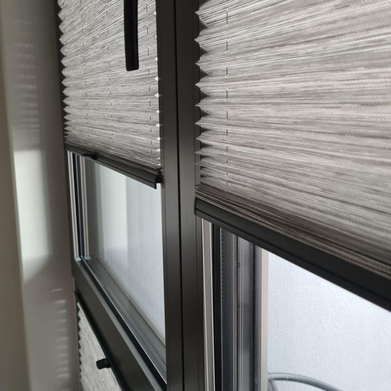 Plisy w Gdańsku Młode miasto