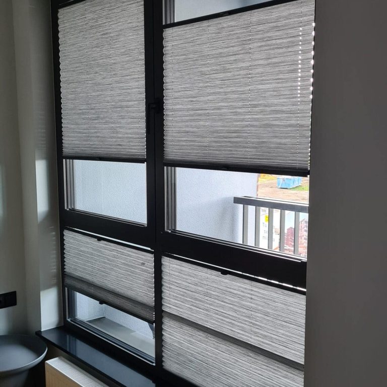 Plisy na Gdańskiej starówce