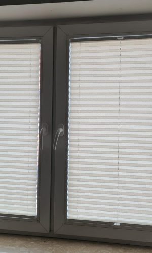 Plisy plaster miodu Gdańsk